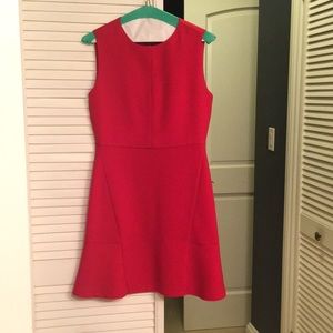 Zara Fit and Flare Dress